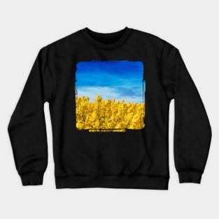 Yellow and Blue - Canola Field and Sky Crewneck Sweatshirt